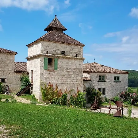 Villa Location Maison 10-12 Personnes Le Moulinal47